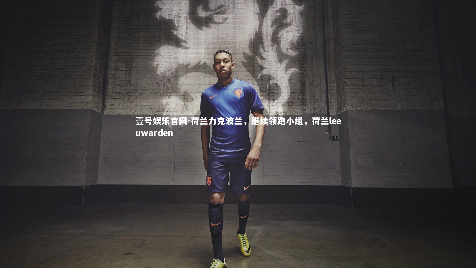 荷兰力克波兰，继续领跑小组，荷兰leeuwarden
