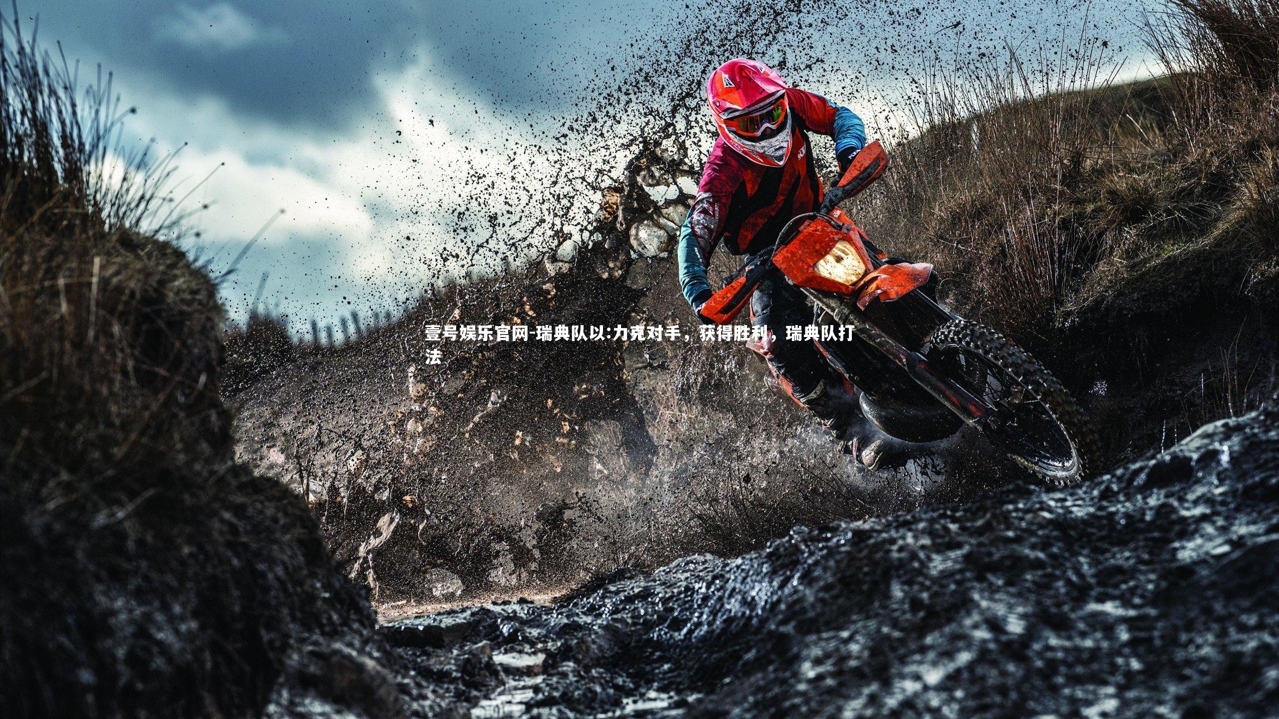 瑞典队以:力克对手，获得胜利，瑞典队打法