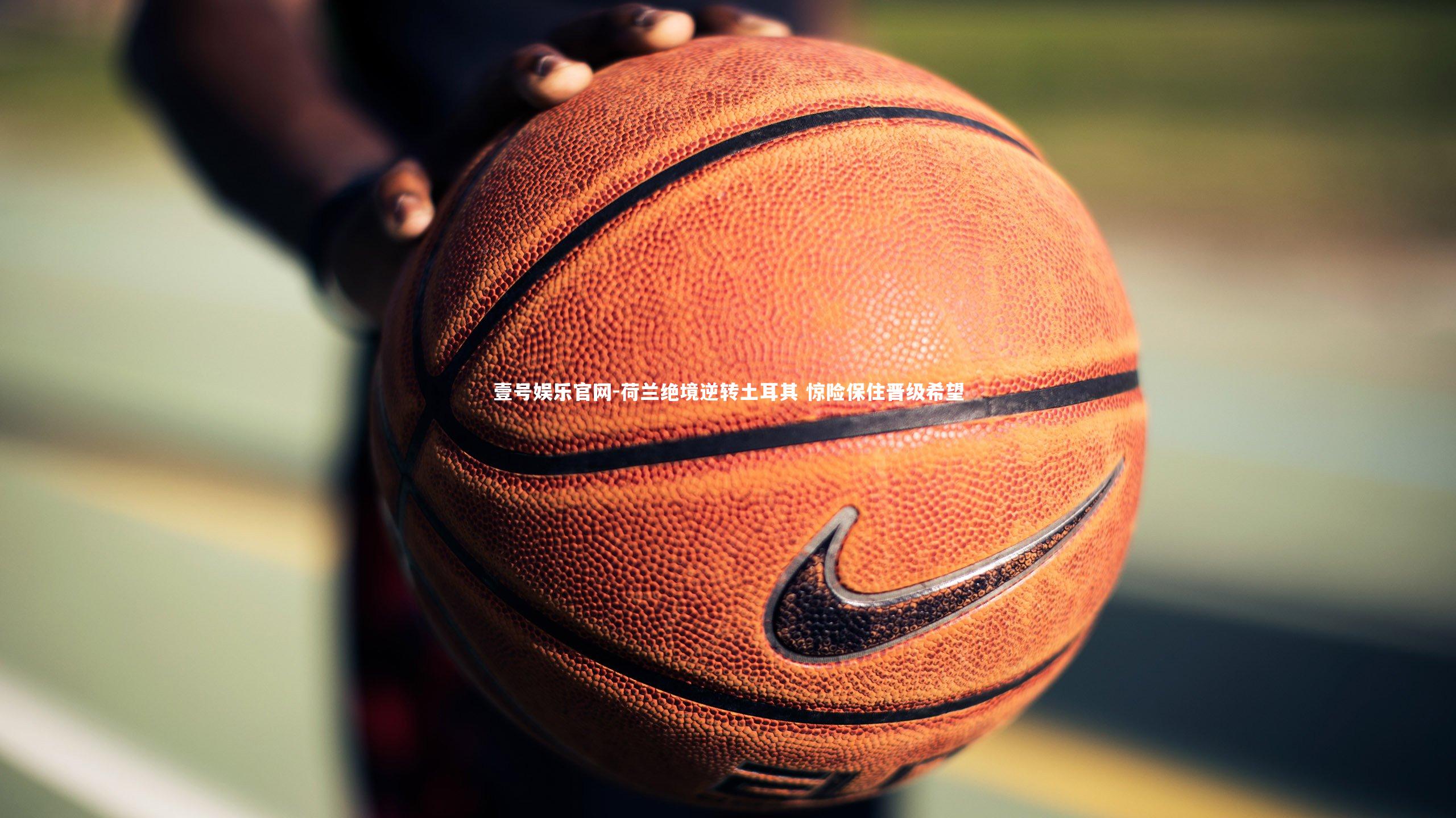 壹号娱乐官网-荷兰绝境逆转土耳其 惊险保住晋级希望